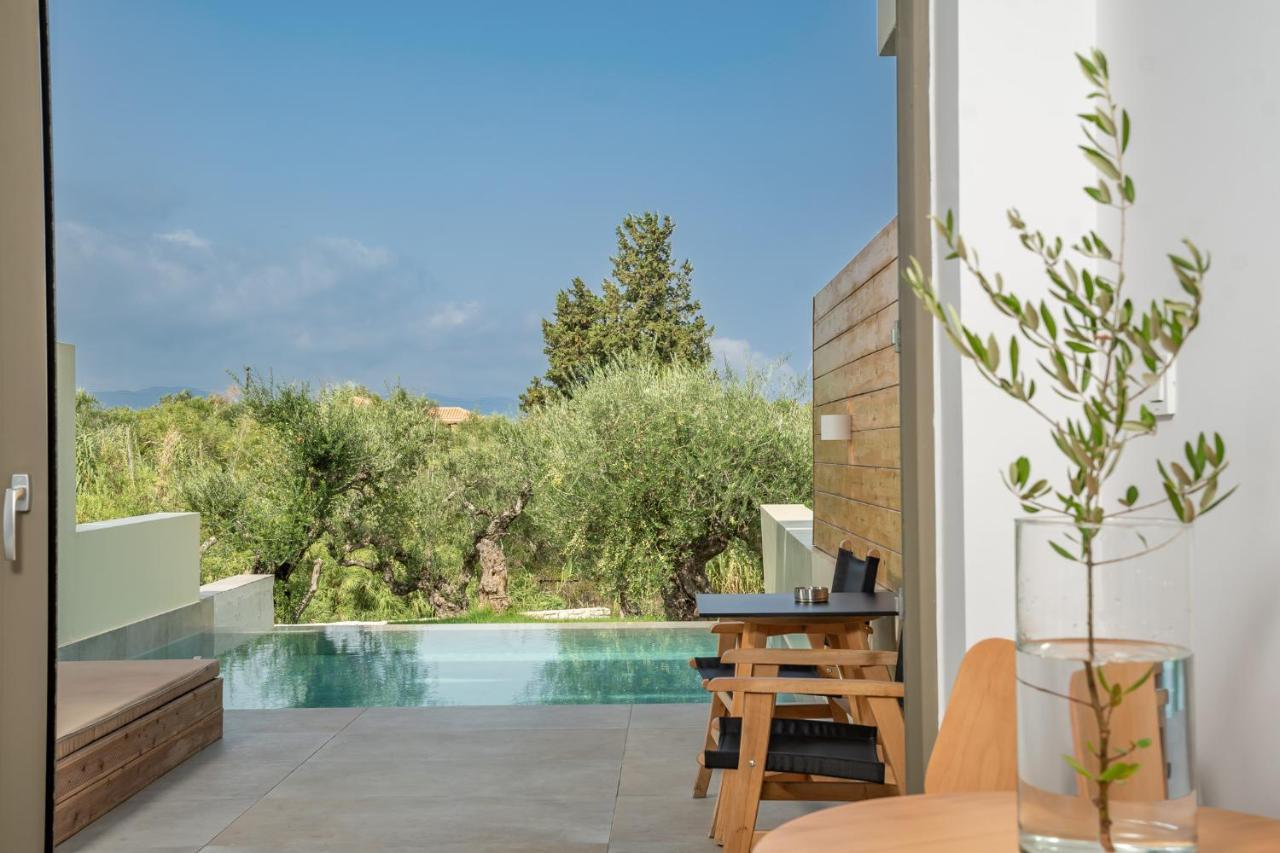 Psarou  Tsamis Zante Suites (Adults Only) מראה חיצוני תמונה Private pool at the hotel