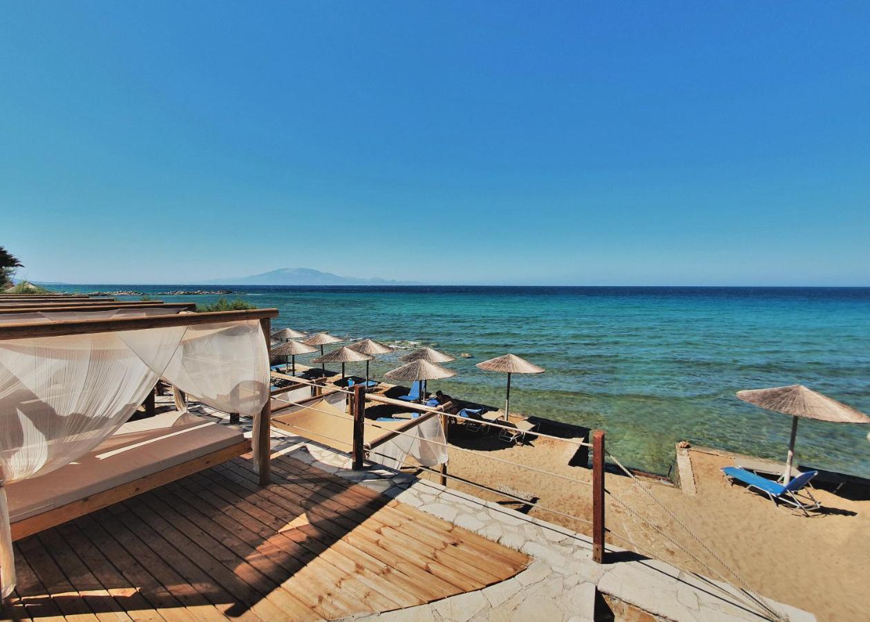 Psarou  Tsamis Zante Suites (Adults Only) מראה חיצוני תמונה Beach in Agia Marina