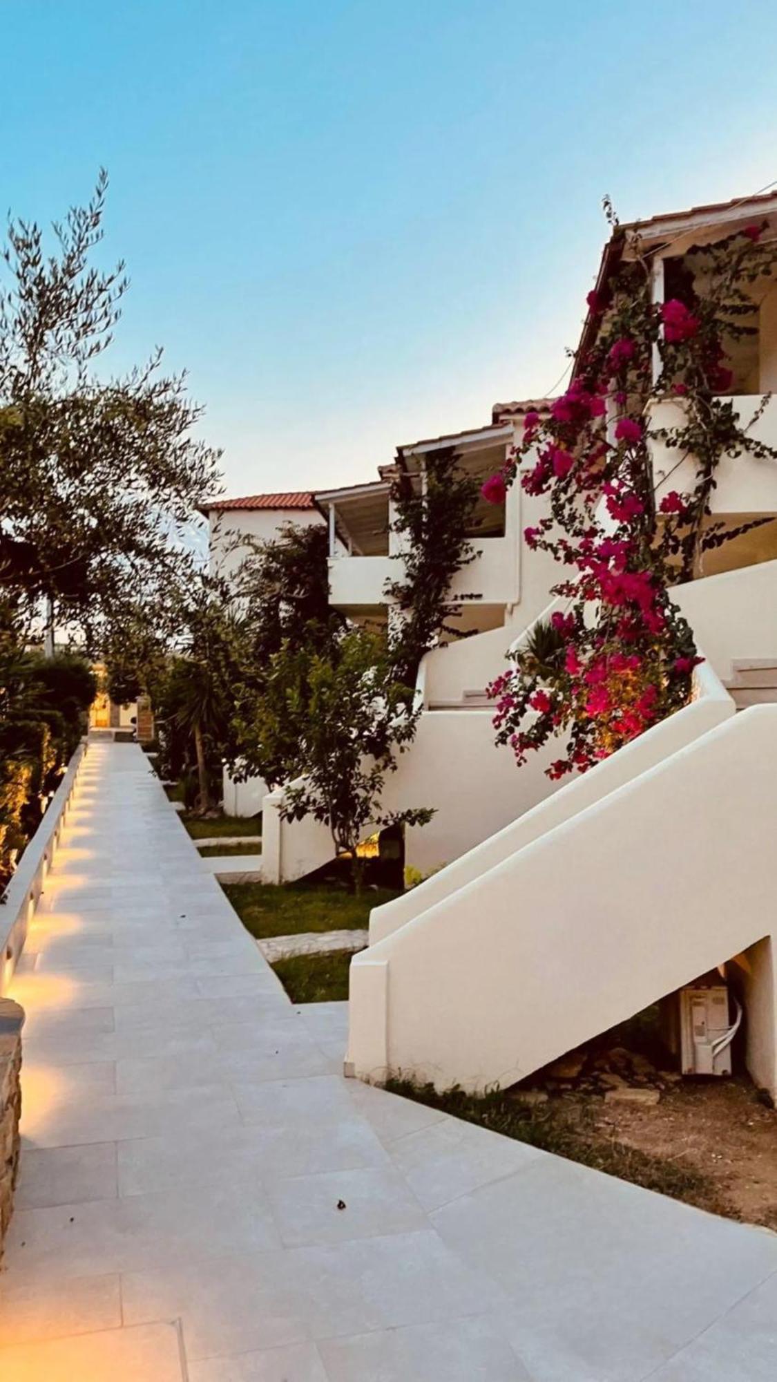 Psarou  Tsamis Zante Suites (Adults Only) מראה חיצוני תמונה The hotel's main walkway